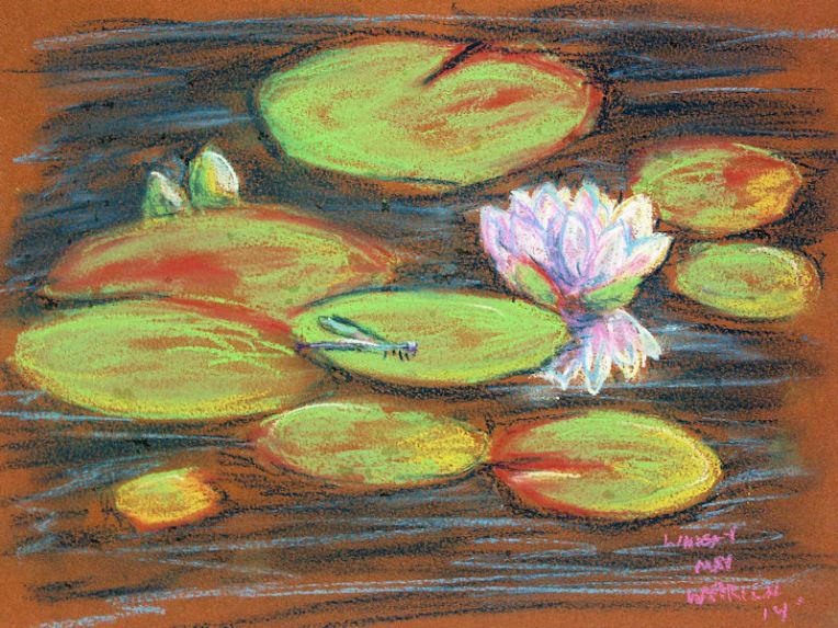 Waterlily in pastel the day it bloomed.