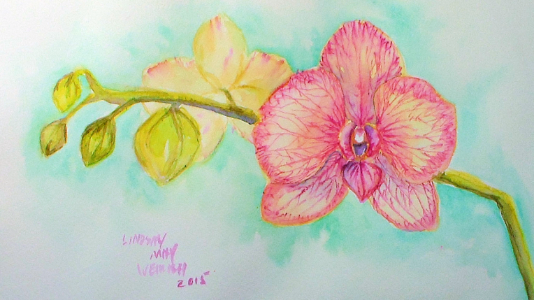 orchidthumb